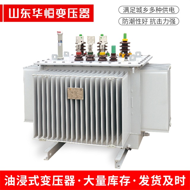 S13-10000/35华龙华龙华龙电力变压器